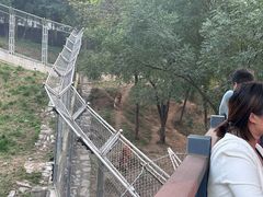 -石家庄市动物园