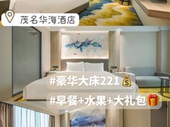 -华海酒店(茂名高铁站店)