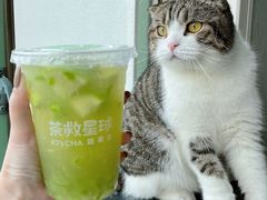 -茶救星球·蔬果茶(福田水围店)