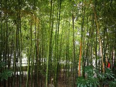 -浙江万里学院(钱湖校区)