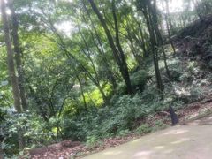 -黔灵山公园