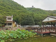 -荷塘味道(水长城店)