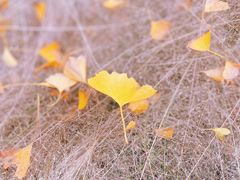 -苏州河梦清园环保主题公园