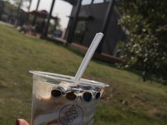 -艾溪湖湿地公园