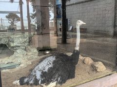-北海海底世界
