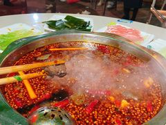 -枇杷园食为鲜火锅(南山店)