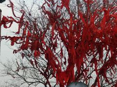 -青州市云门山风景区