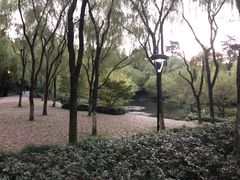 景点-柳浪闻莺公园