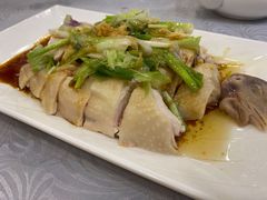 招牌葱油鸡-粤·向群饭店(龙津东路总店)