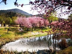 -石塘人家
