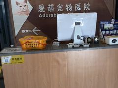 -美联众合宠物医院·爱萌分院·内外科·猫科中心