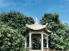 -北京鹫峰国家森林公园