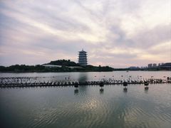 -西安世博园