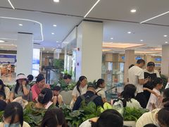 -上海大学附属上海和平眼科医院