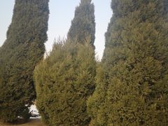 -黑石礁公园