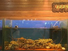 -真浪花园海鲜餐馆