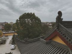 -上海东林寺(金山区)
