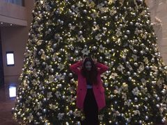 金陵饭店-南京金陵饭店