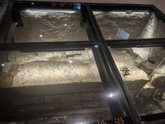-元代水闸遗址博物馆