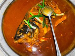 -解家河南菜(金水路店)