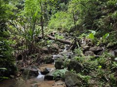-火炉山森林公园