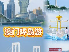-澳门环岛游湾仔码头