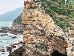 -杨梅坑