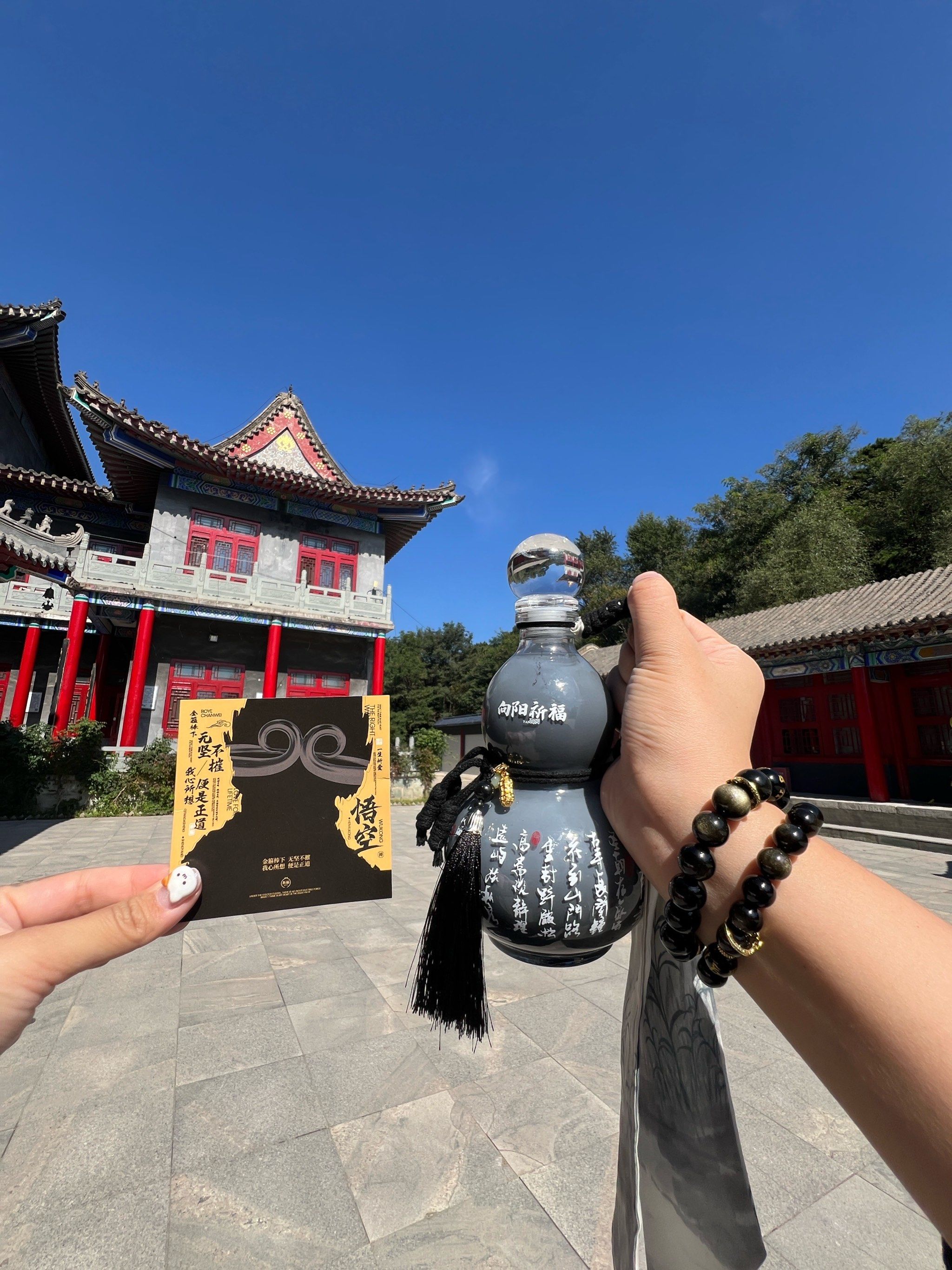 向阳寺真有你的

黑悟空手链真的太好看了

果断拿着 和女