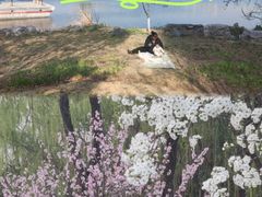 -桃花岛公园