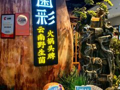 -菌彩云南野生菌火锅(万达广场店)