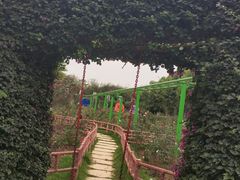 -百万葵园