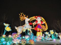 -武汉园博园(武汉自然博物馆)