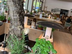 -Vapiano Canberra