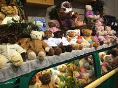 -济州岛泰迪熊博物馆