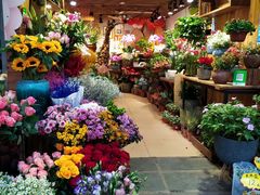 -桂林市花鸟市场