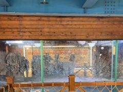 -海合安青岛极地海洋公园