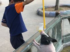 -北戴河集发农业梦想王国