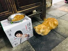 -吾介小籠館