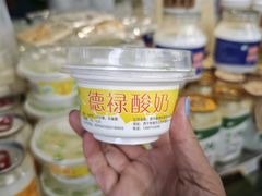 -德禄酸奶(莫家街店)