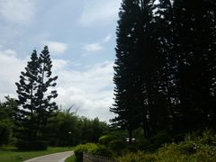 -四海公园(南山区)