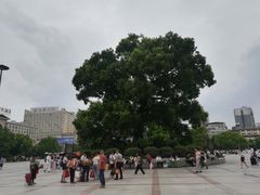 -衡阳站