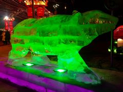 -沈阳奥体冰雪嘉年华