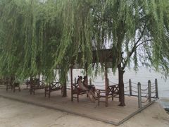 -湖鲜楼