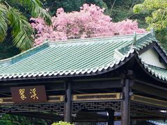 -广东温泉宾馆