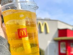 -麦当劳(浦珠路得来速店)