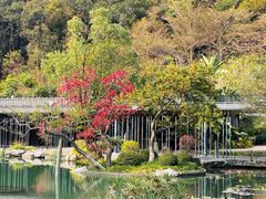 -云溪植物园