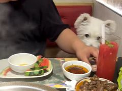 -廖掌柜·重庆鲜货火锅(上海首店)