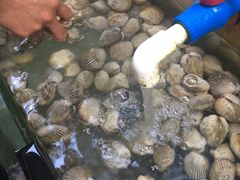 -蓝湾碧波·老字号·疍家非遗海上餐厅