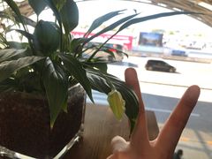 -乐港休闲馆茶艺·简餐·茶室(首都机场T2店)