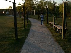 -上海长兴岛郊野公园